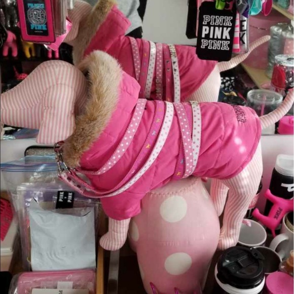 Meet your Posher, Sarah - Picture 7 of 16